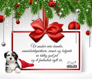 God jul og godt nyttår