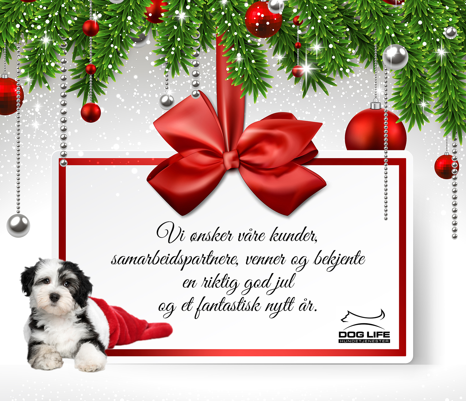 julekortdoglife2015